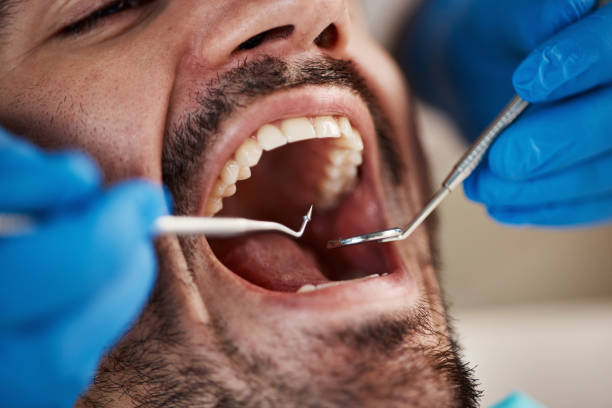 Best Emergency Pediatric Dental Care in Tekamah, NE